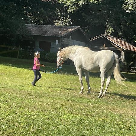 Вілла Quinta De Maderne Фелґейраш Екстер'єр фото