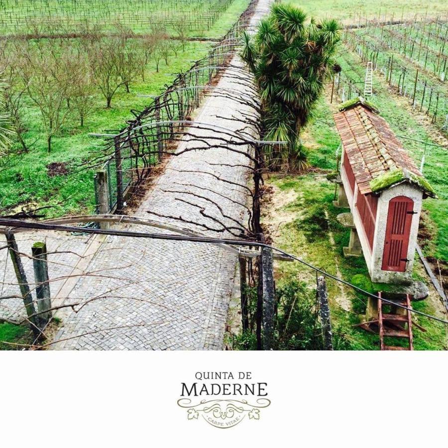 Вілла Quinta De Maderne Фелґейраш Екстер'єр фото
