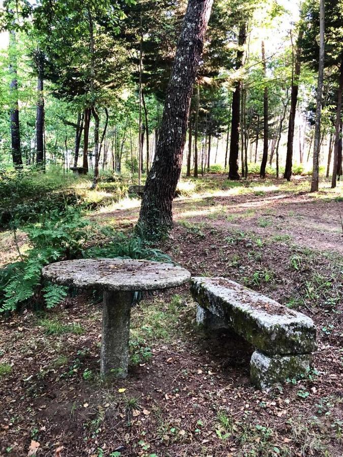 Вілла Quinta De Maderne Фелґейраш Екстер'єр фото