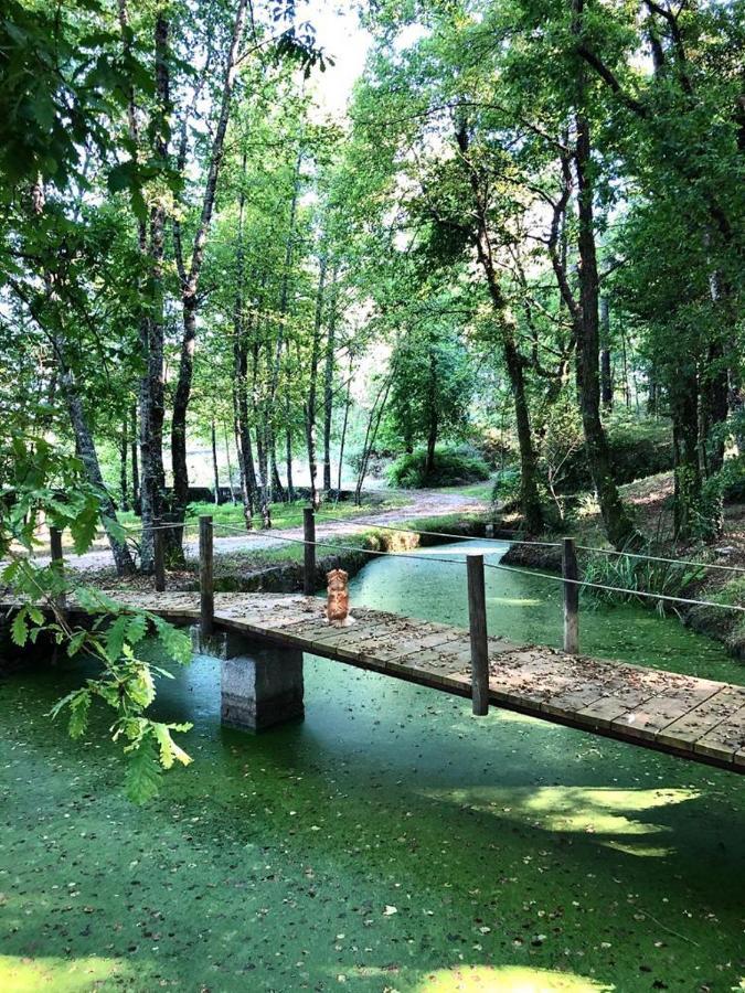 Вілла Quinta De Maderne Фелґейраш Екстер'єр фото