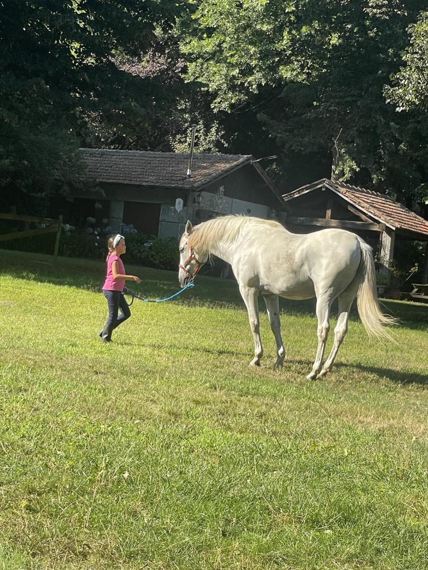 Вілла Quinta De Maderne Фелґейраш Екстер'єр фото